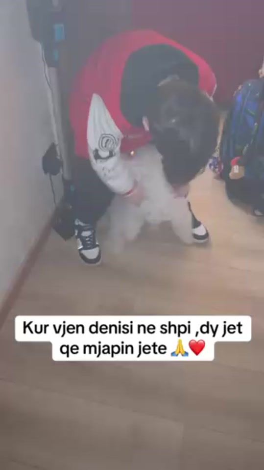 TikTok video thumbnail by carolina_psesiosa
