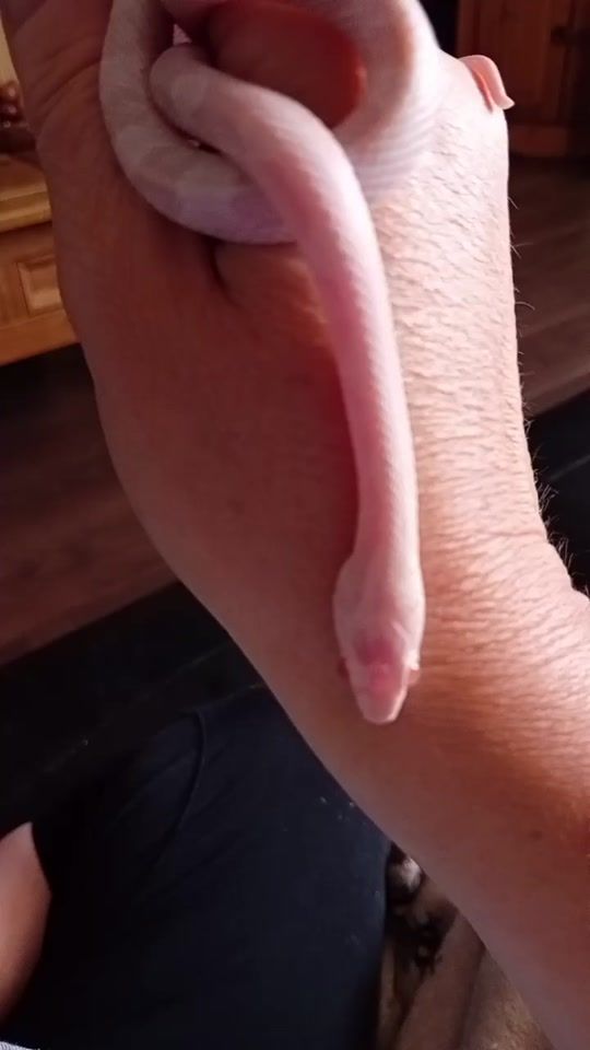 TikTok video thumbnail by samanthajagodic