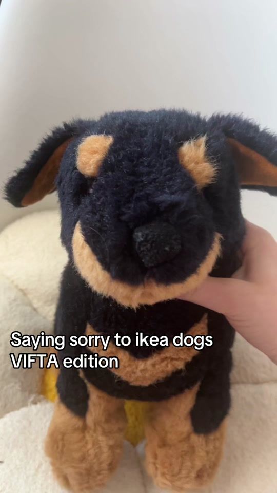 TikTok video thumbnail by naynaikeadogs