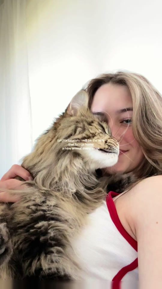 TikTok video thumbnail by linaakmd