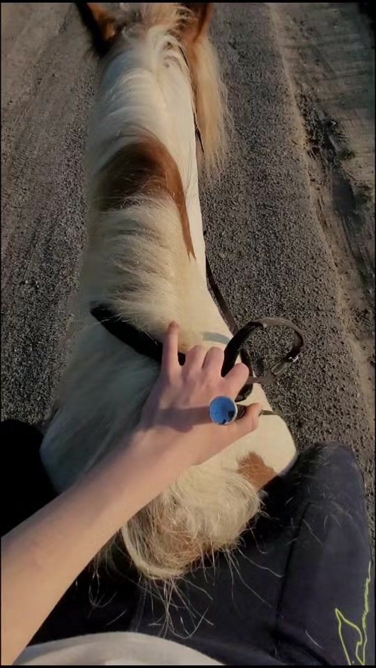 TikTok video thumbnail by team._.jolo
