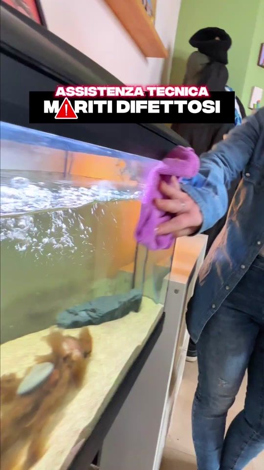 TikTok video thumbnail by duemezzo