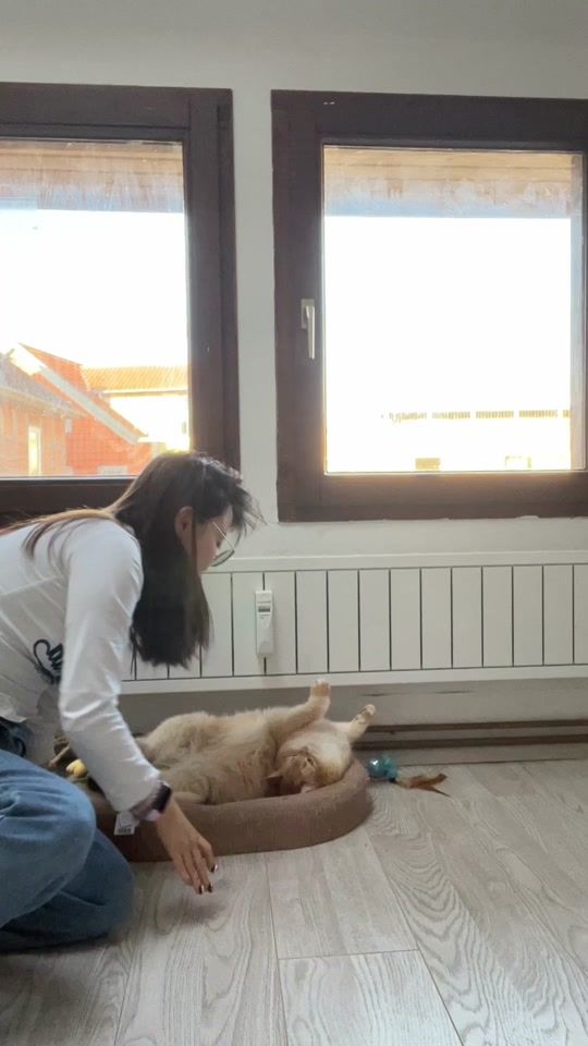 TikTok video thumbnail by onlycats99