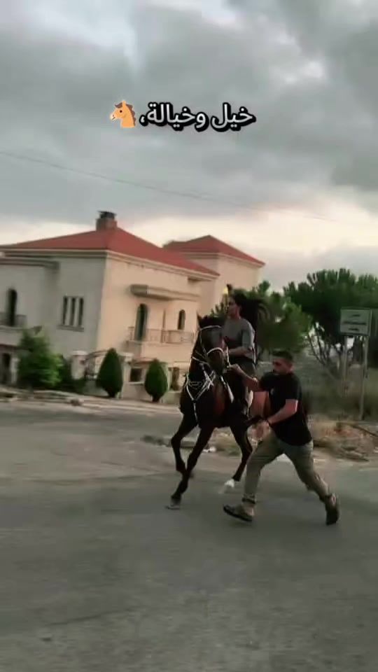 TikTok video thumbnail by horses.women