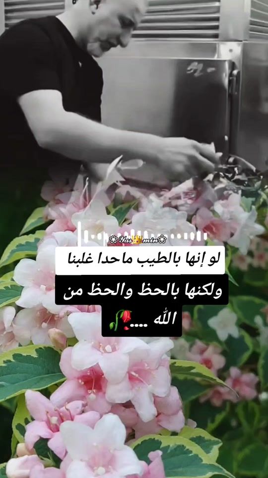TikTok video thumbnail by omhasan860