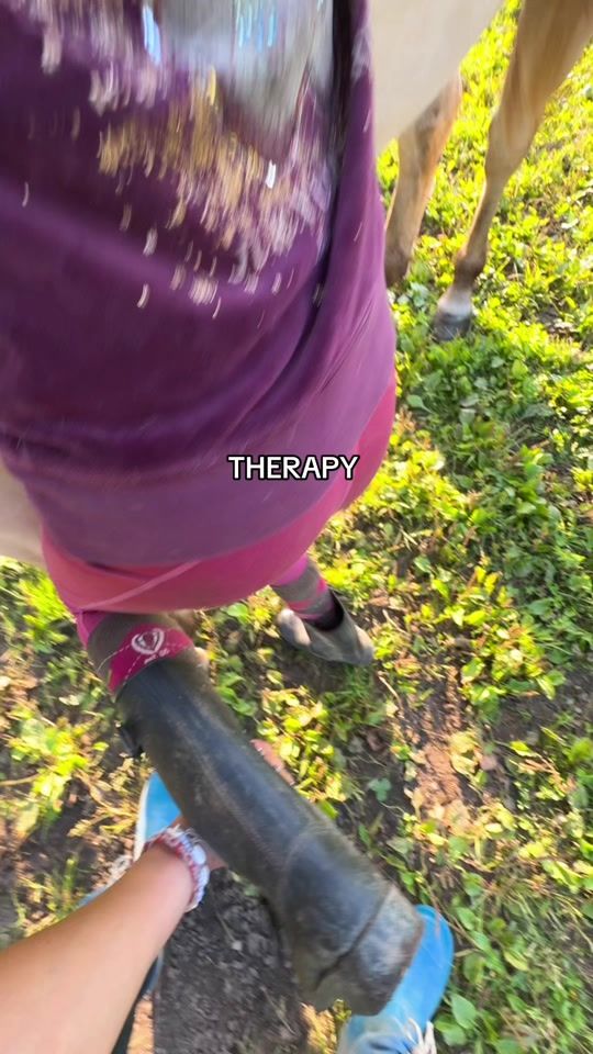 TikTok video thumbnail by gp.equestrainstables