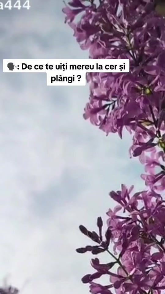 TikTok video thumbnail by anastasiagatlan.mami
