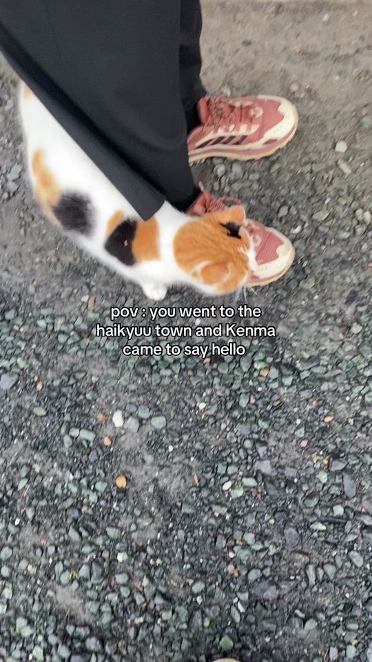 TikTok video thumbnail by maymast_k