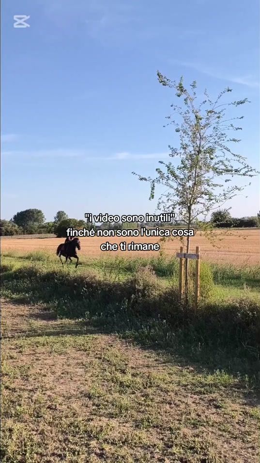 TikTok video thumbnail by jjessispam