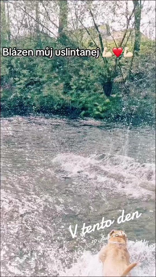 TikTok video thumbnail by xxs_bmw