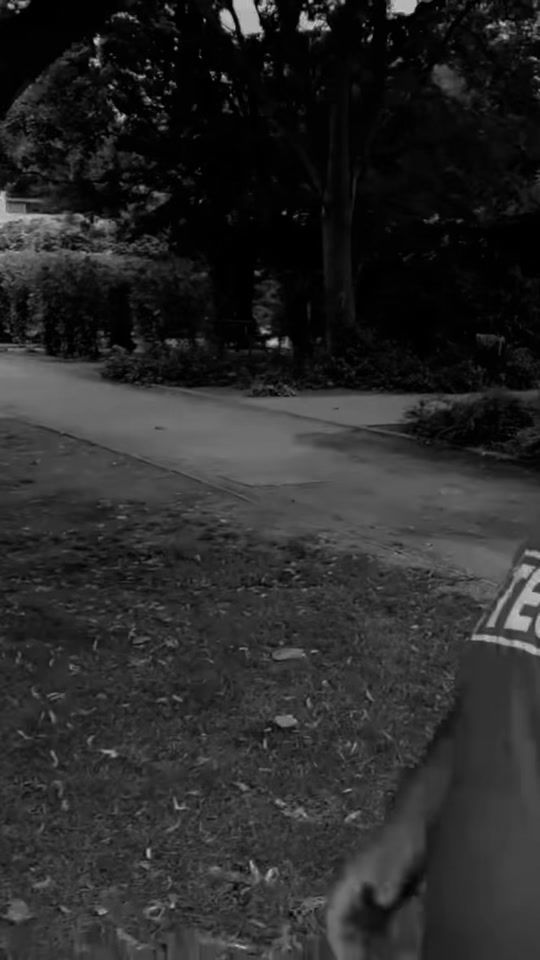 TikTok video thumbnail by wgp.99