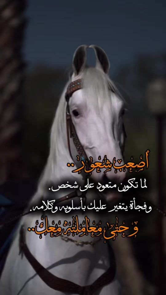TikTok video thumbnail by o__alfaruq