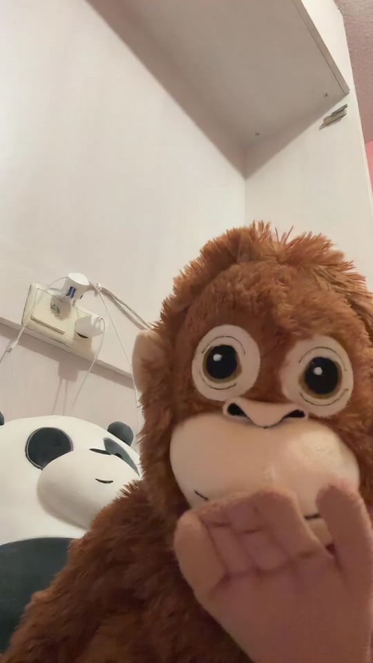 TikTok video thumbnail by muffintheikeamonkey