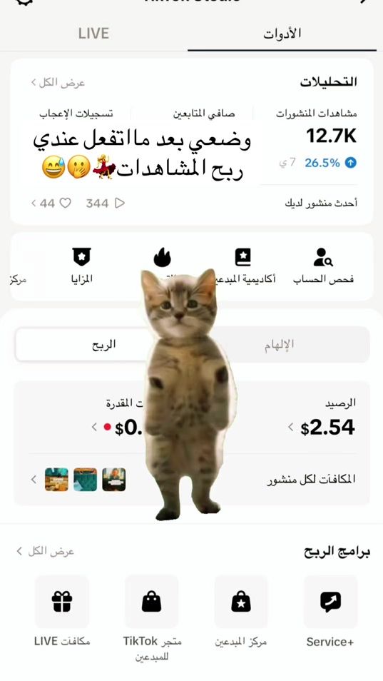TikTok video thumbnail by shaza_syrien