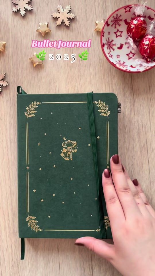 TikTok video thumbnail by elo_roses_books