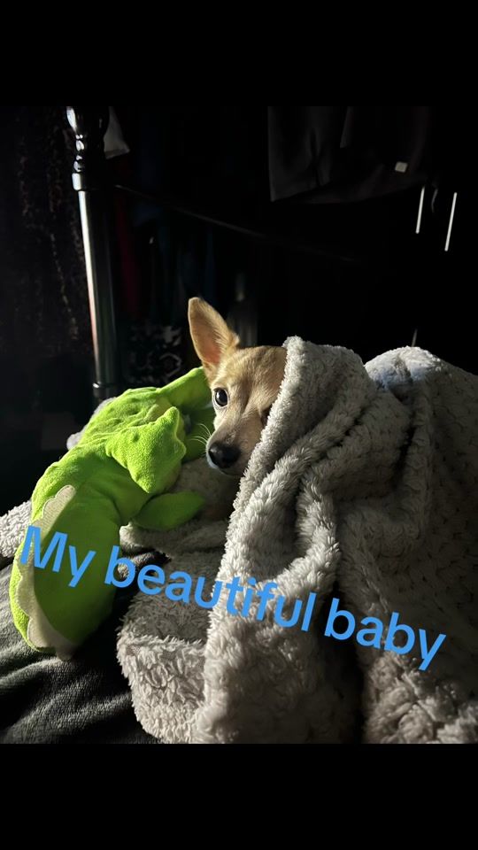 TikTok video thumbnail by trudiannec