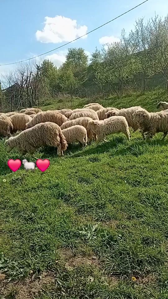 TikTok video thumbnail by daniela.valeria97