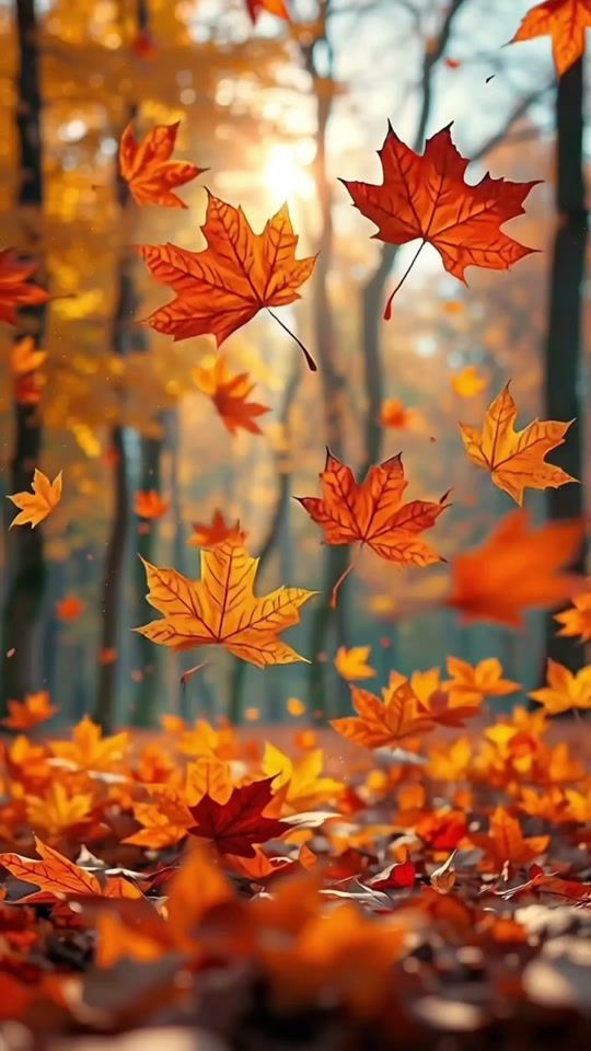TikTok video thumbnail by _livewallpapers_0