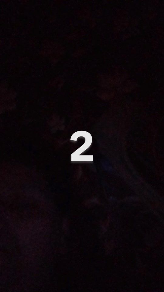 TikTok video thumbnail by timikeh3
