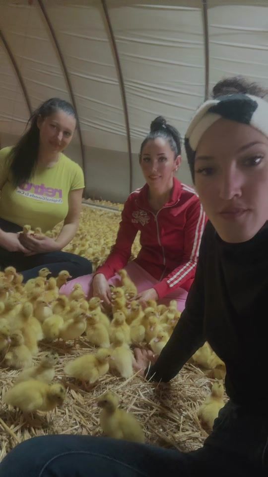 TikTok video thumbnail by lecamonika