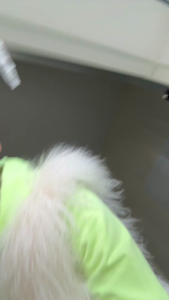 TikTok video thumbnail by dualandmark