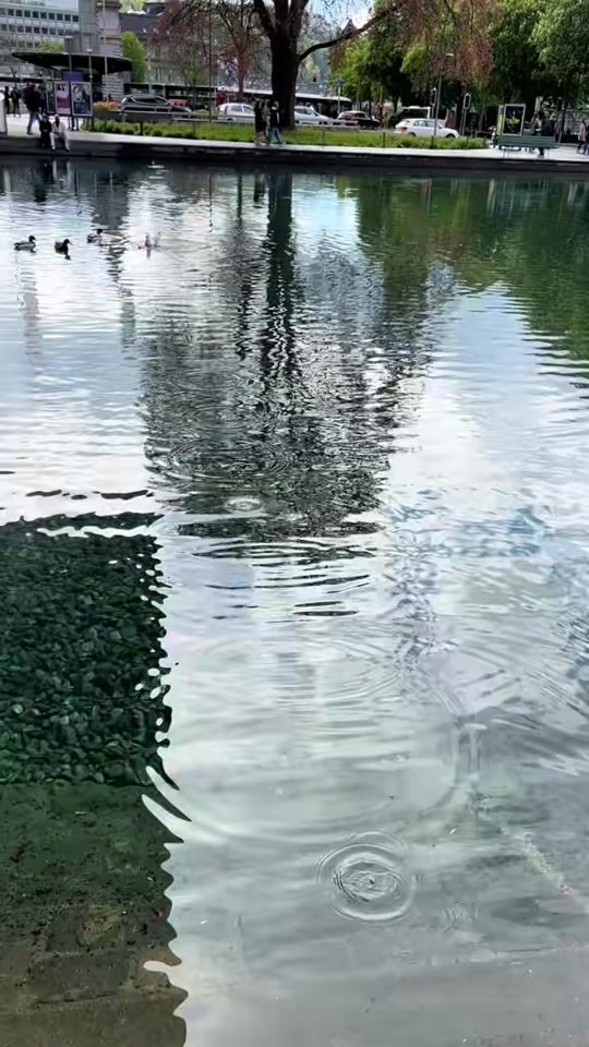 TikTok video thumbnail by saman4152