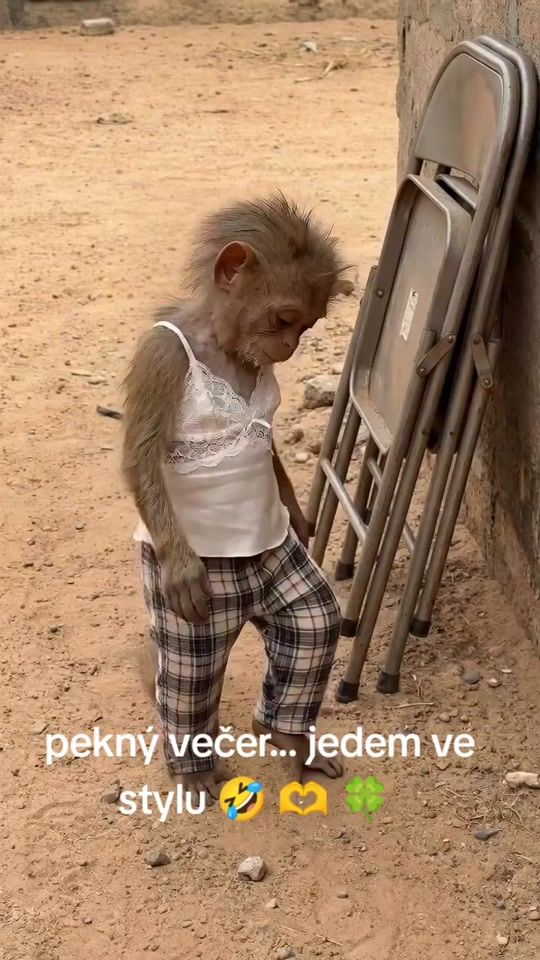 TikTok video thumbnail by lillien38