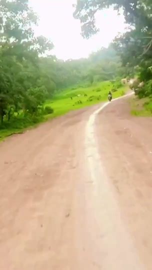TikTok video thumbnail by afri_landscape