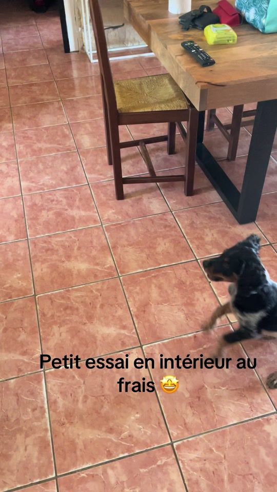 TikTok video thumbnail by lateamcharentaise