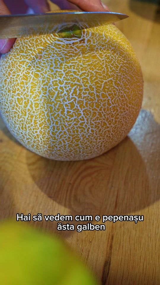 TikTok video thumbnail by _ecotaran_