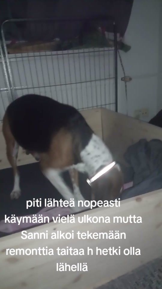 TikTok video thumbnail by abcsami77
