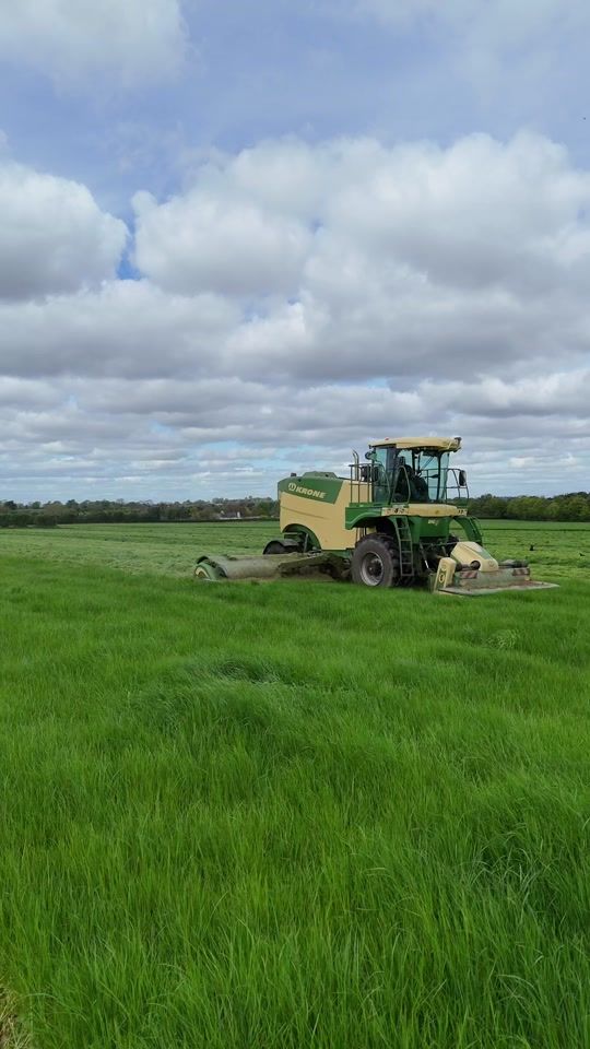 TikTok video thumbnail by callum.owens