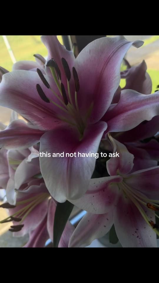 TikTok video thumbnail by irlvia