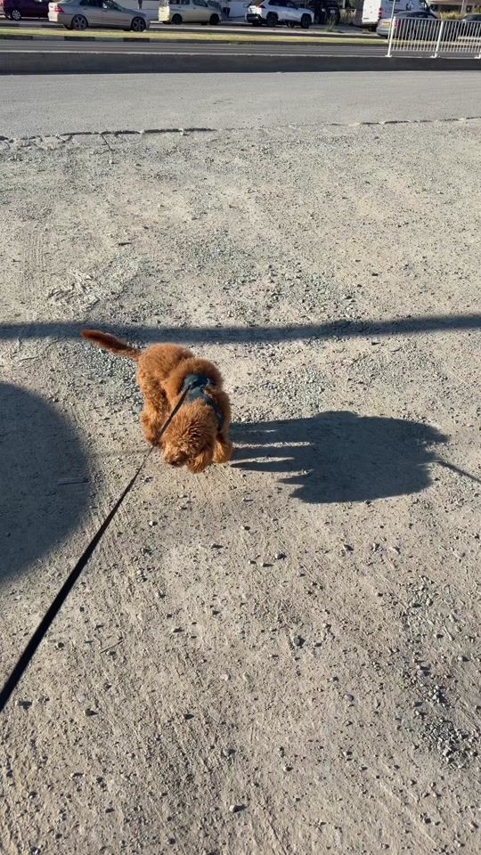 TikTok video thumbnail by atha_k
