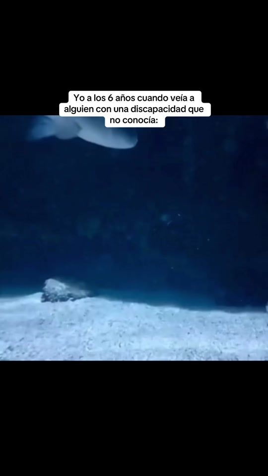 TikTok video thumbnail by danopets