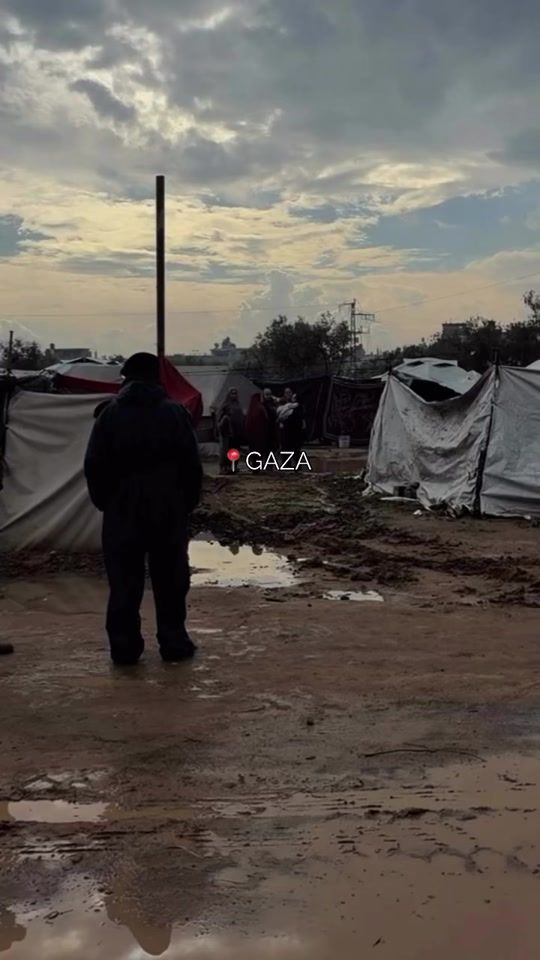 TikTok video thumbnail by hamada.palestine