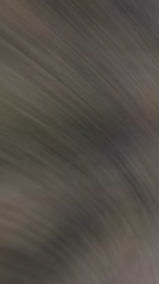 TikTok video thumbnail by annikafavrin