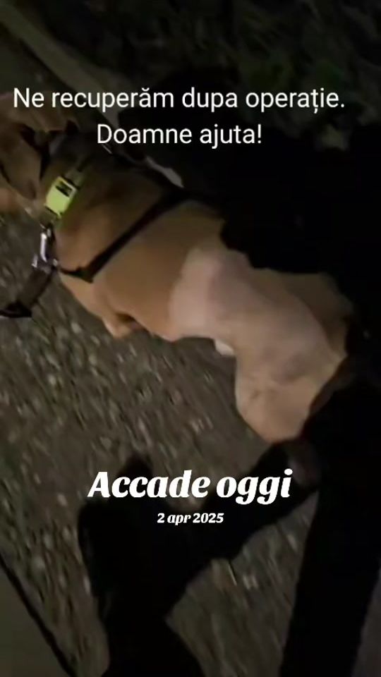 TikTok video thumbnail by roxybery