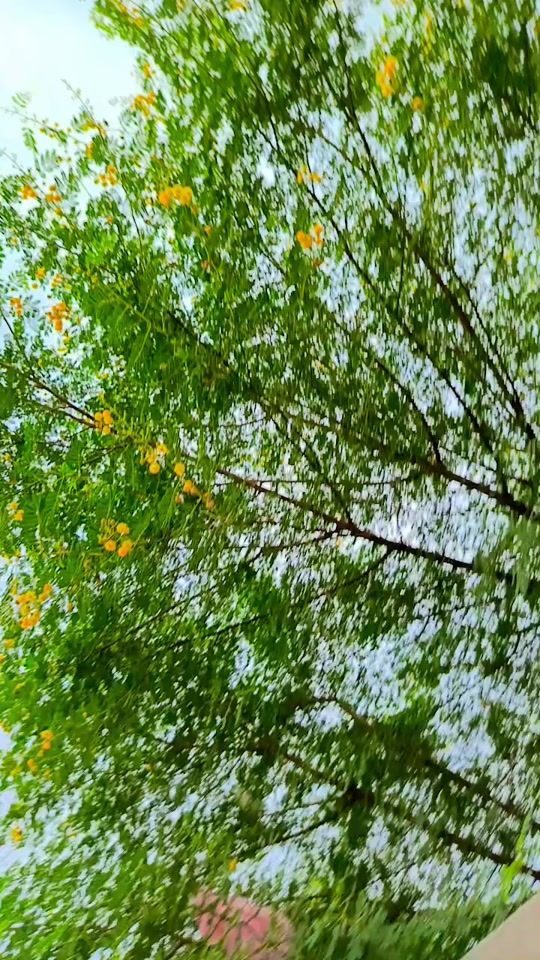 TikTok video thumbnail by soniaa.don
