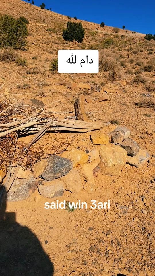 TikTok video thumbnail by said.win3ari12