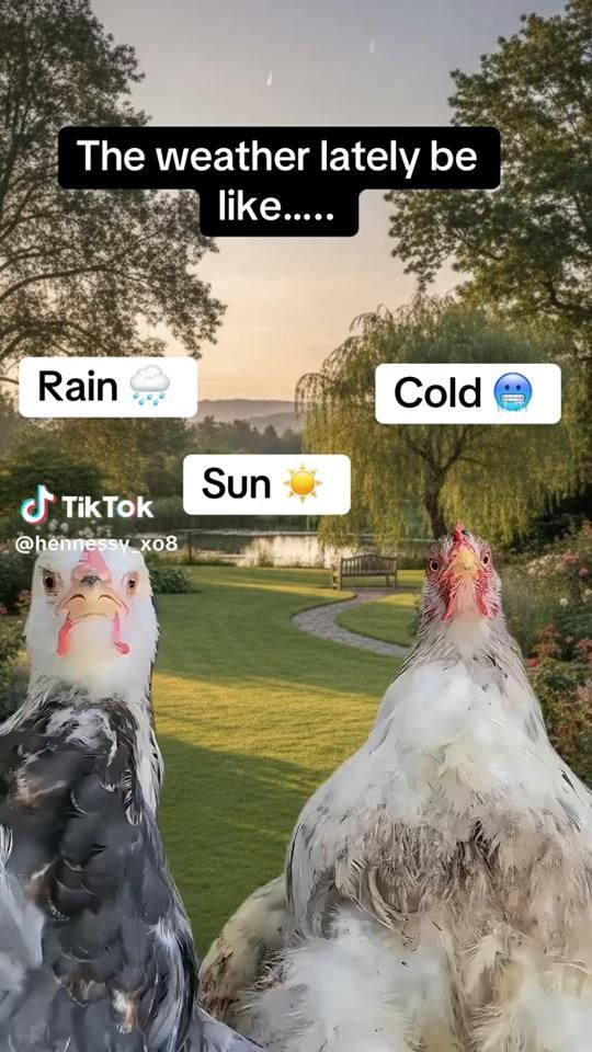 TikTok video thumbnail by _namelessforu_