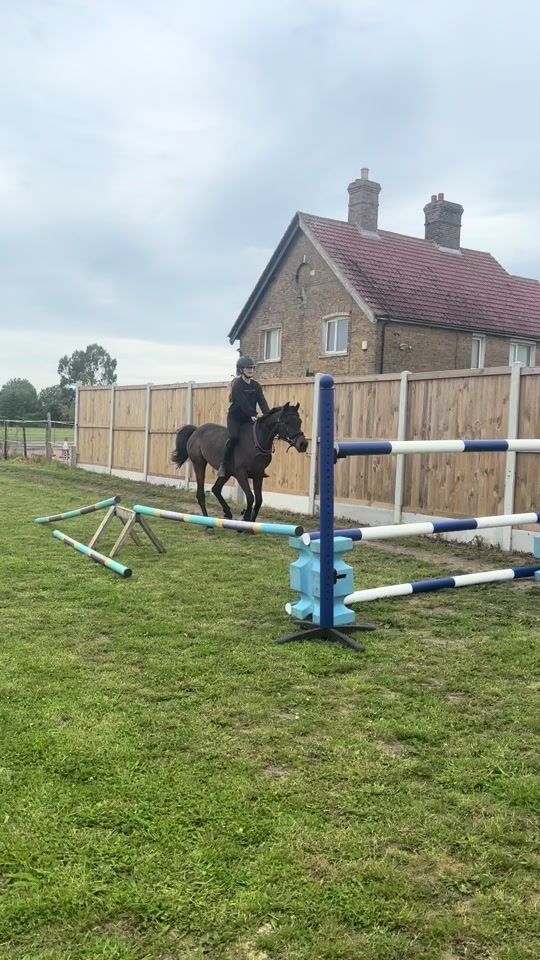 TikTok video thumbnail by aecequestrian