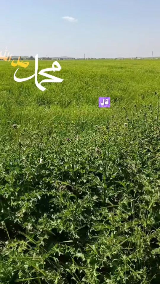 TikTok video thumbnail by nor.s0