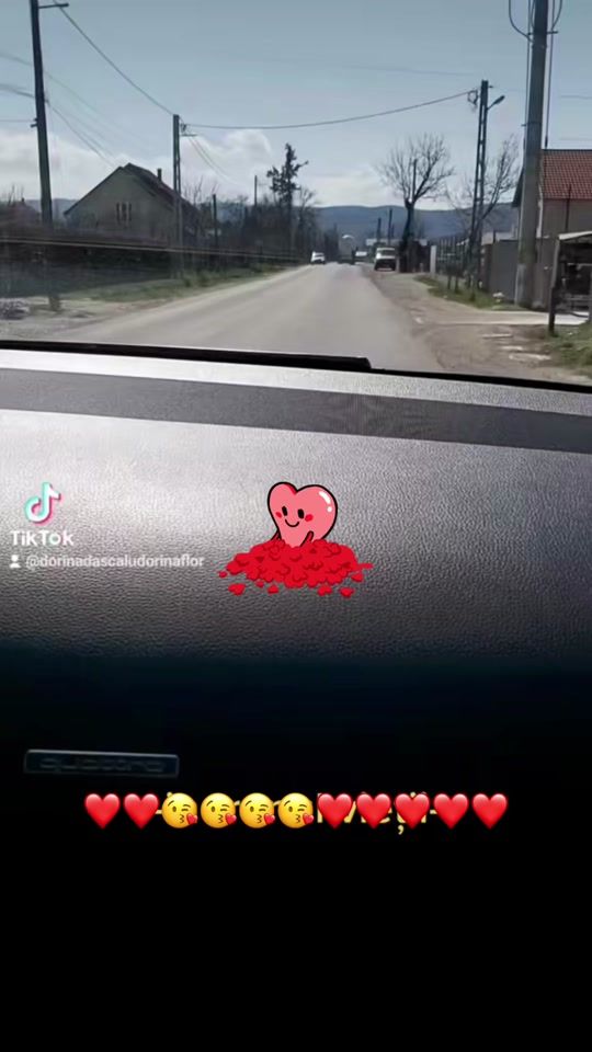 TikTok video thumbnail by dorinadascaludorinaflor