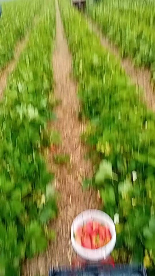 TikTok video thumbnail by vr_2022.11.1