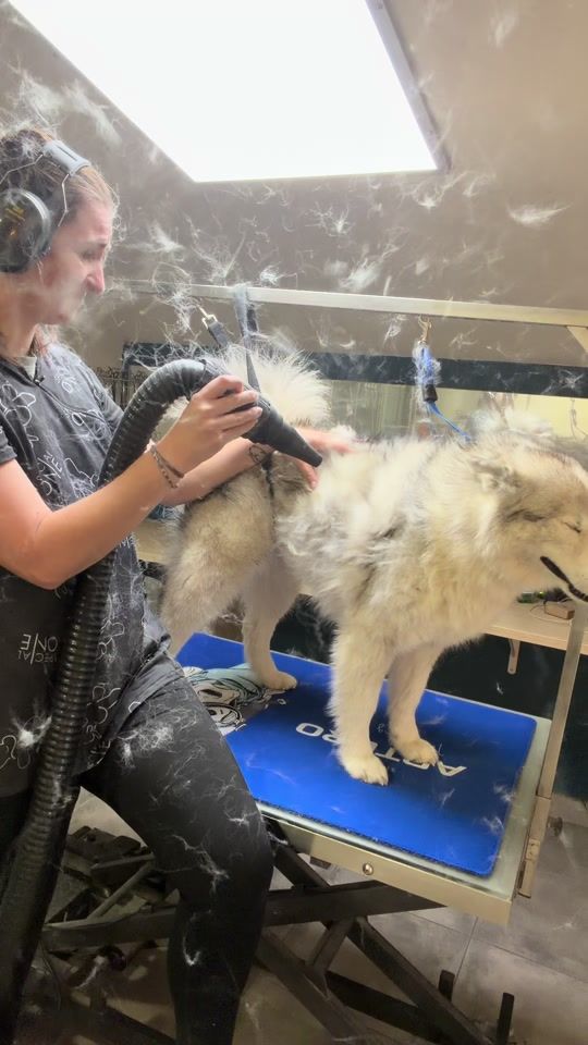 TikTok video thumbnail by le.salon.izzy