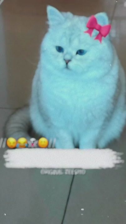 TikTok video thumbnail by original_zeesho