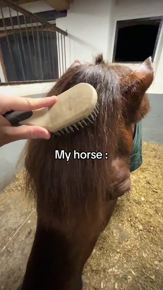 TikTok video thumbnail by pilote_de_daiquiri