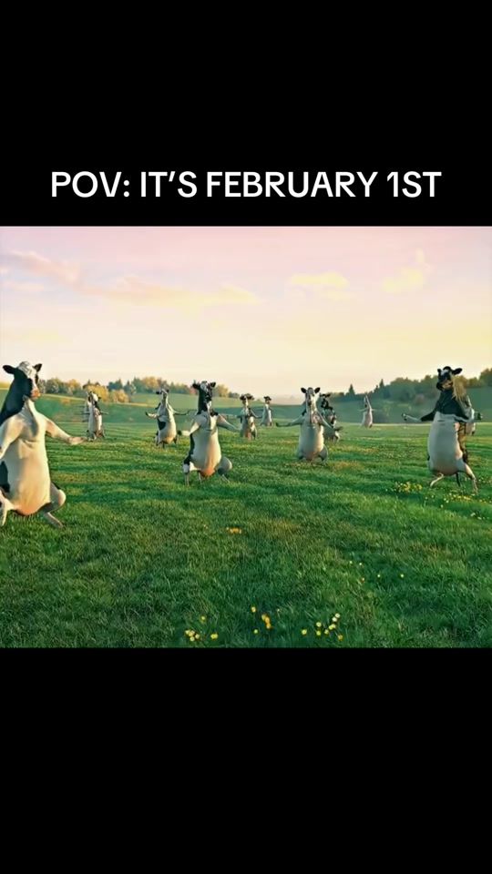 TikTok video thumbnail by vibinwithu87