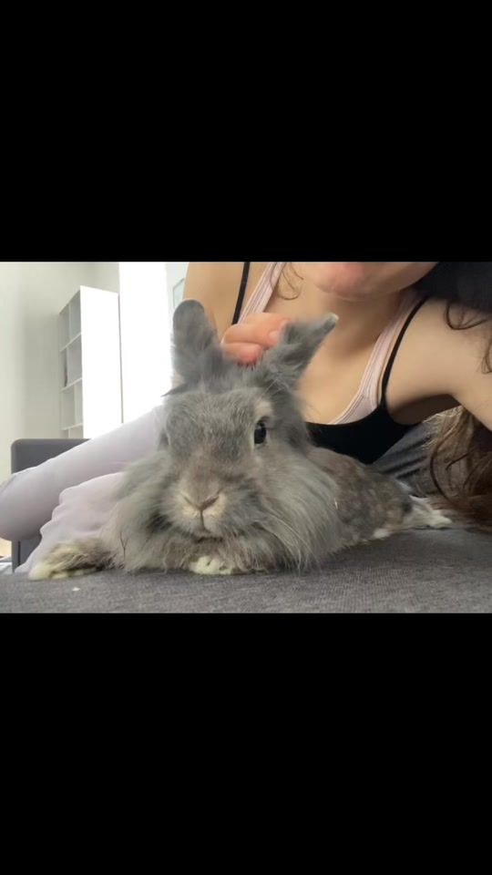 TikTok video thumbnail by grywinkler